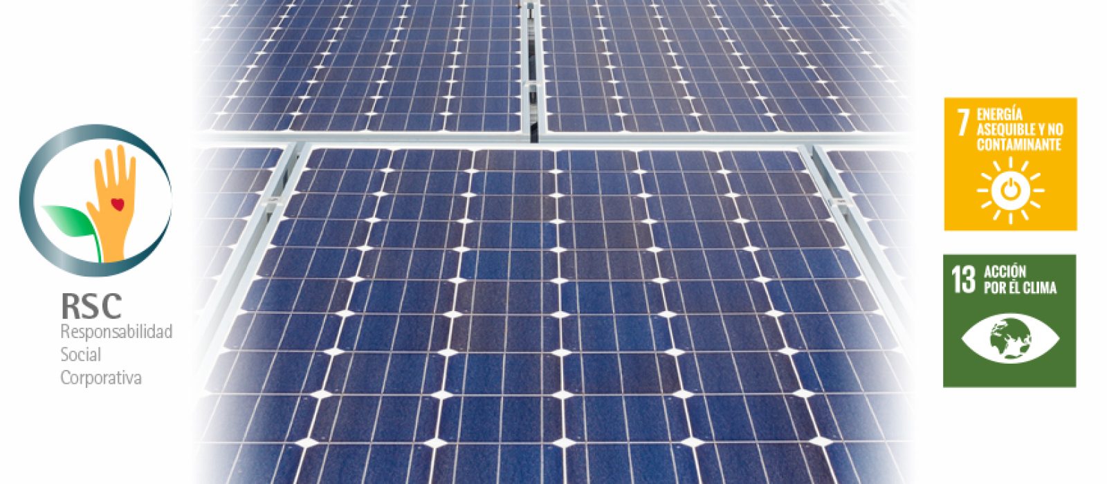 ETD-RSC-PARC-FOTOVOLTAIC-2020-07-01-EXTERIOR-865x380px